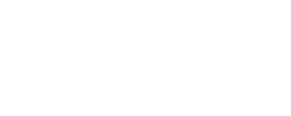 palki website logo white